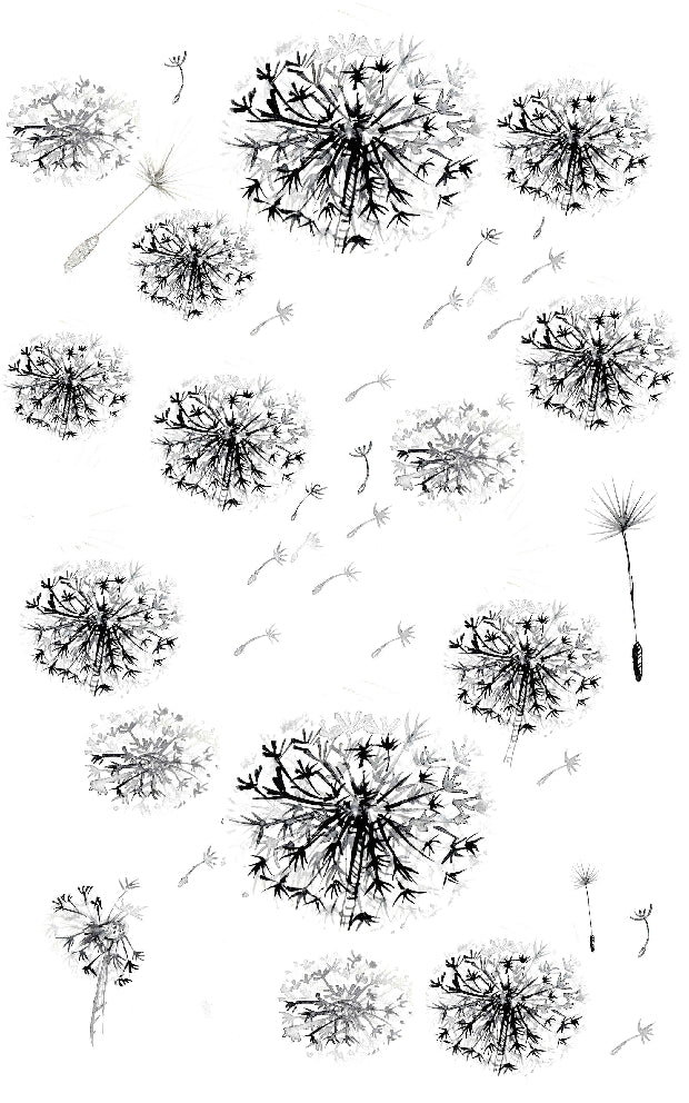 Dandelions